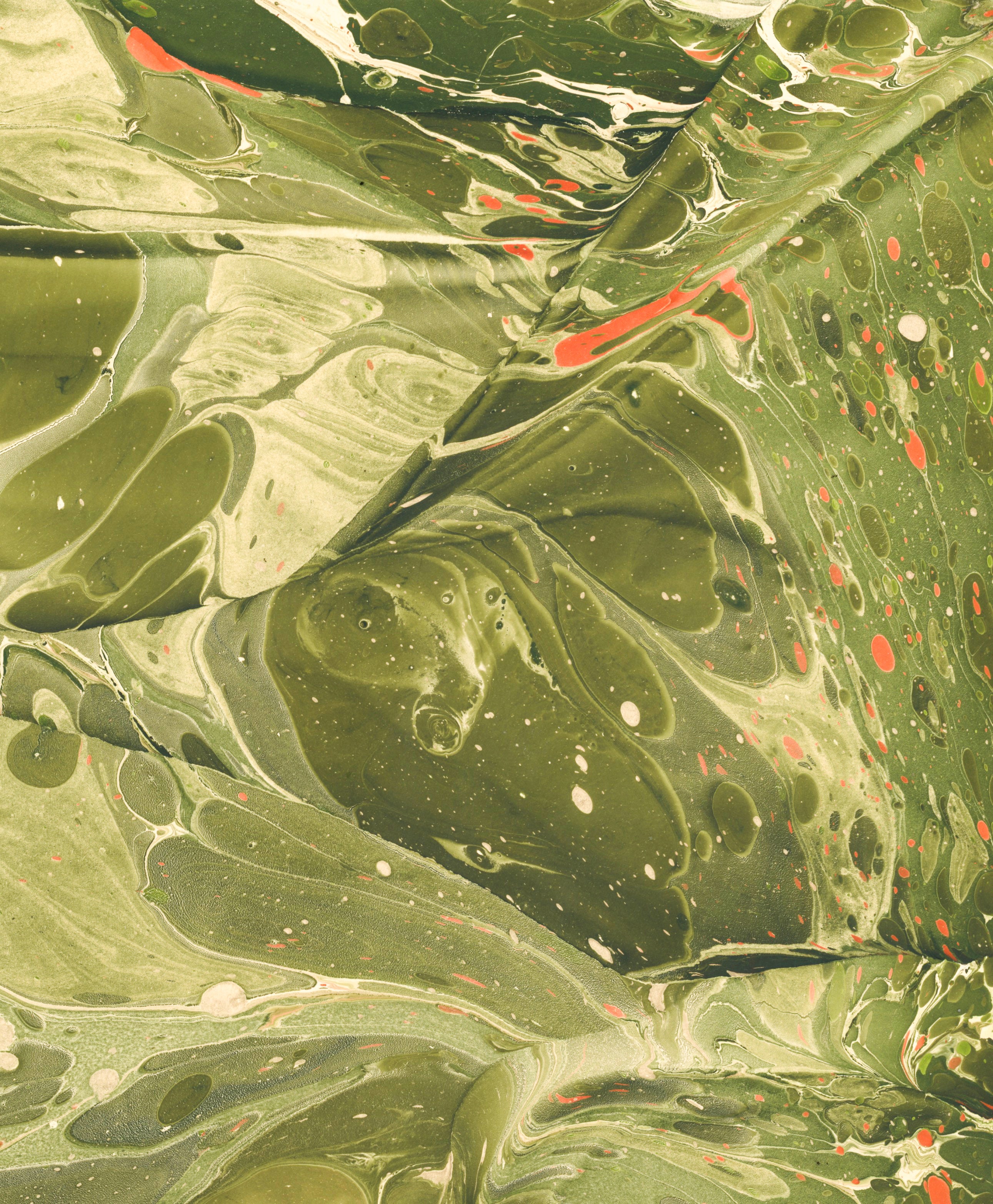 Lilypad