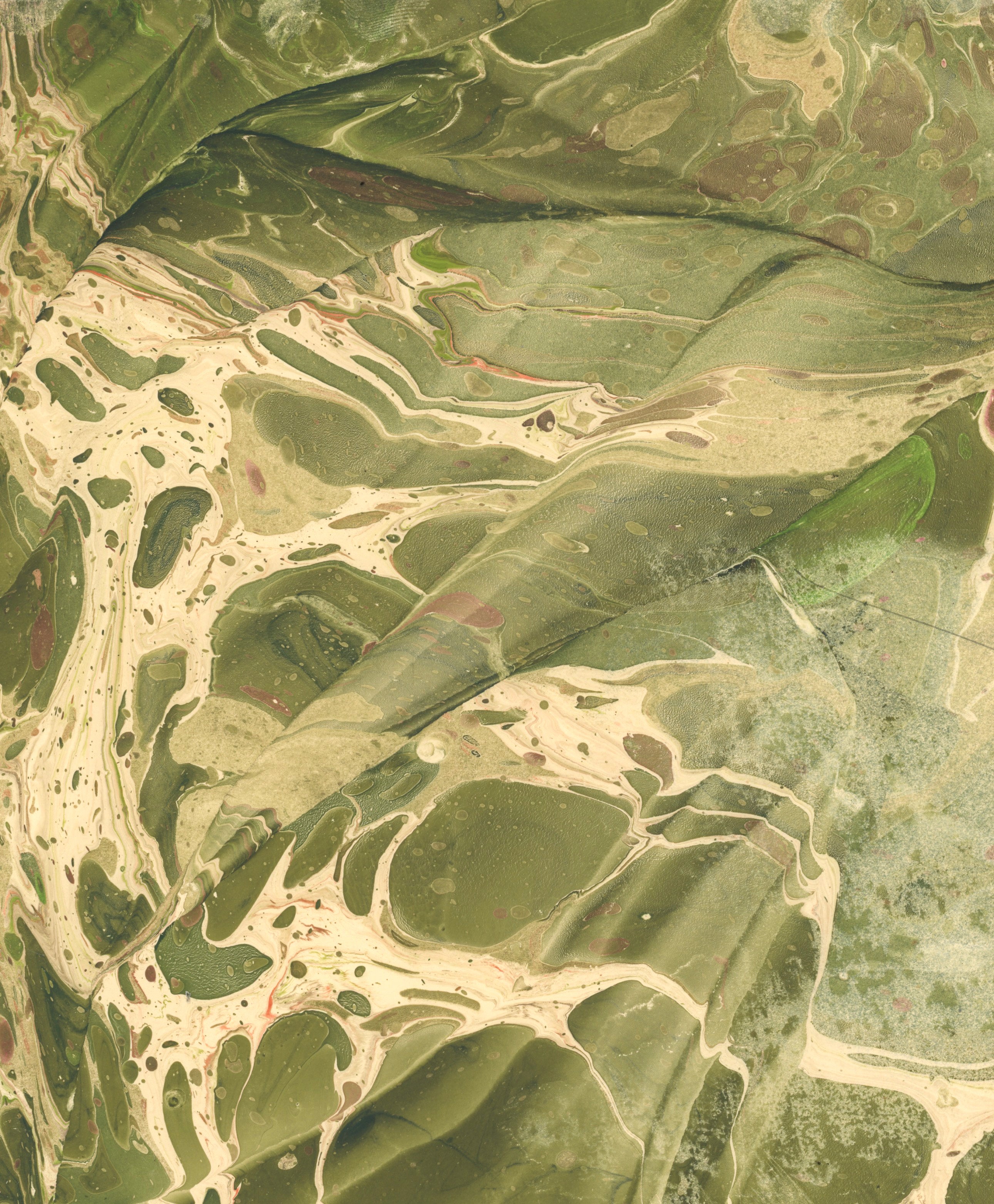 Fresh forest
